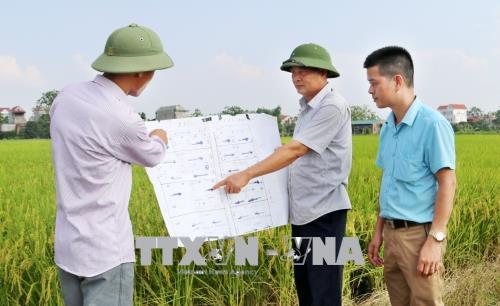  Người đồng hành cùng Lương Lỗ trong dồn đổi ruộng đất hiệu quả ảnh 1